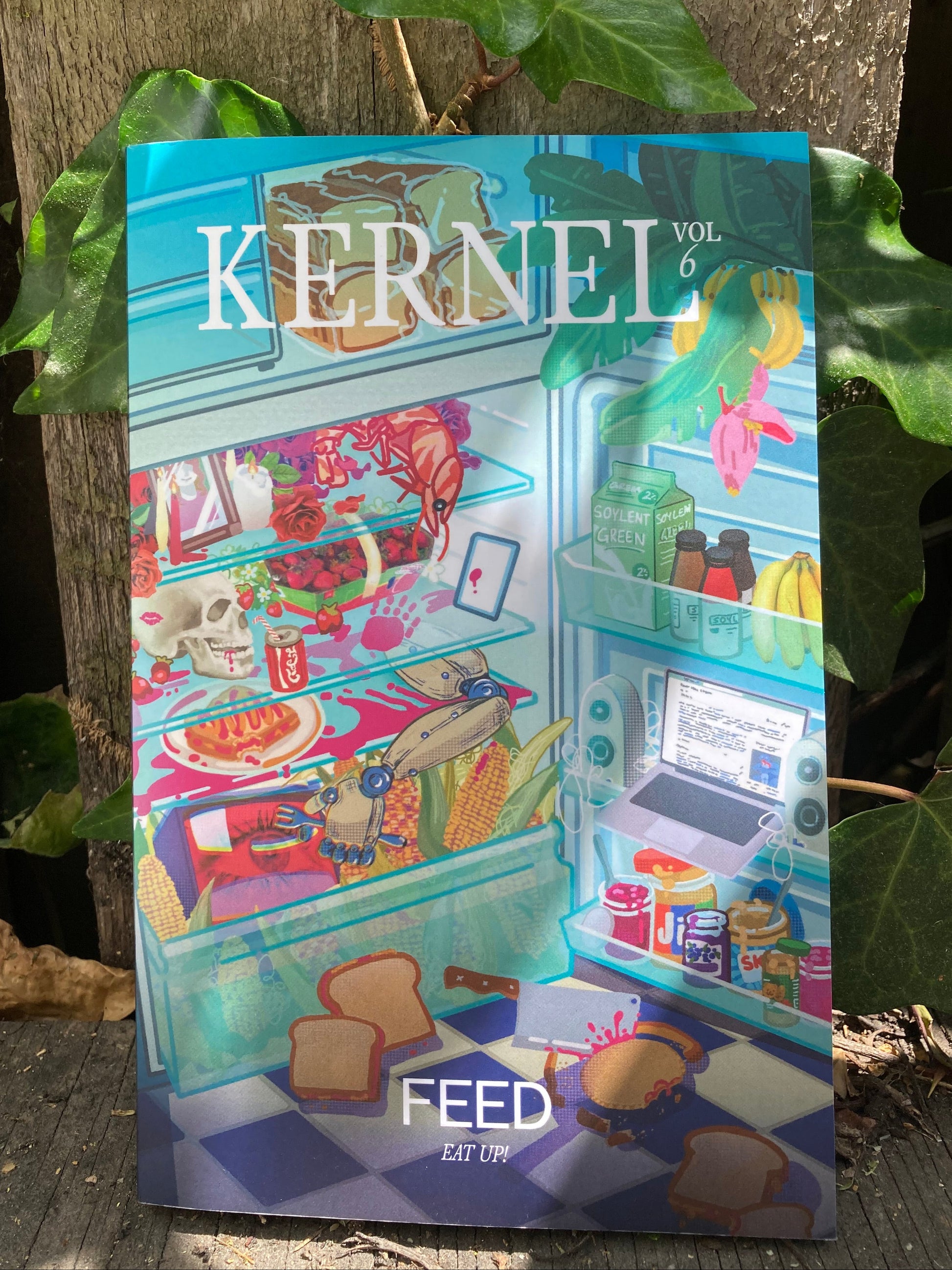 A copy of Kernel 6 in a garden